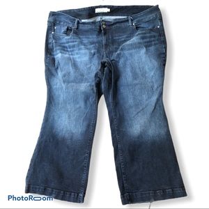 Torrid | Blue Jeans 30xs